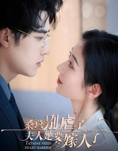 热播电视剧全集长夜将明手机免费在线观看